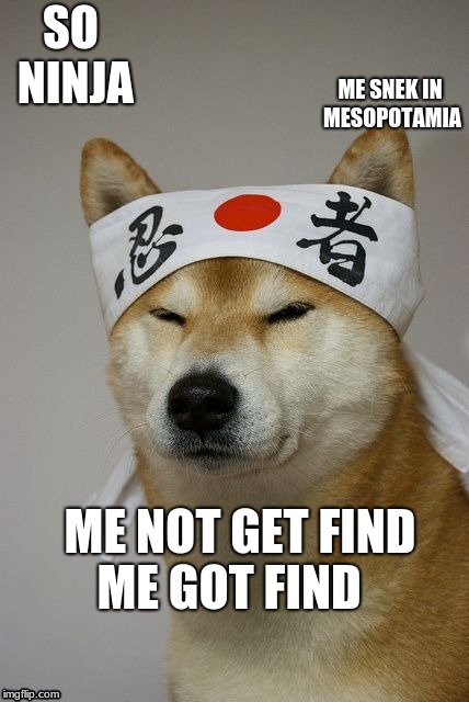 ninja doge | SO NINJA; ME SNEK IN MESOPOTAMIA; ME NOT GET FIND; ME GOT FIND | image tagged in ninja | made w/ Imgflip meme maker