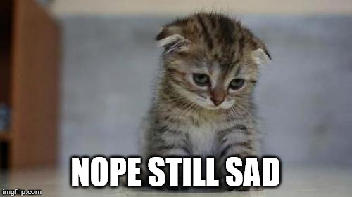Sad kitten | NOPE STILL SAD | image tagged in sad kitten | made w/ Imgflip meme maker