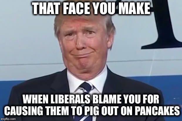 She Should’ve Moved to Canada | THAT FACE YOU MAKE; WHEN LIBERALS BLAME YOU FOR CAUSING THEM TO PIG OUT ON PANCAKES | image tagged in donald trump,liberal logic,barbara streisand | made w/ Imgflip meme maker