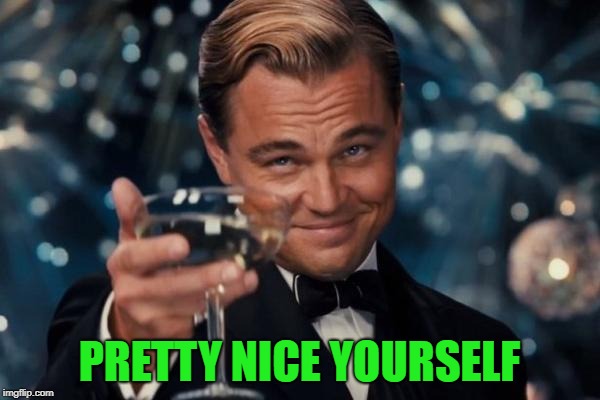 Leonardo Dicaprio Cheers Meme | PRETTY NICE YOURSELF | image tagged in memes,leonardo dicaprio cheers | made w/ Imgflip meme maker