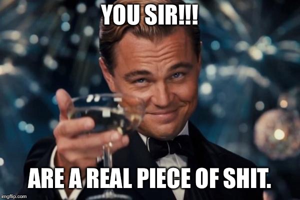 Leonardo Dicaprio Cheers Meme | YOU SIR!!! ARE A REAL PIECE OF SHIT. | image tagged in memes,leonardo dicaprio cheers | made w/ Imgflip meme maker
