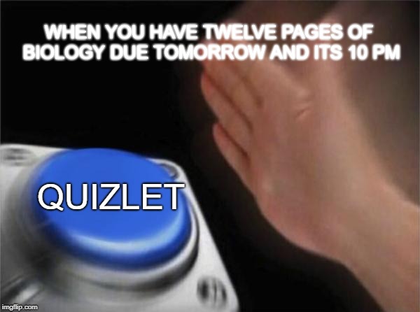 Blank Nut Button Meme | WHEN YOU HAVE TWELVE PAGES OF BIOLOGY DUE TOMORROW AND ITS 10 PM; QUIZLET | image tagged in memes,blank nut button,APStudents | made w/ Imgflip meme maker