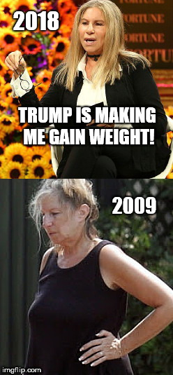 2018; TRUMP IS MAKING ME GAIN WEIGHT! 2009 | image tagged in flabs streisand on trump,barbra streisand,blame game,obesity,hollywood liberals | made w/ Imgflip meme maker