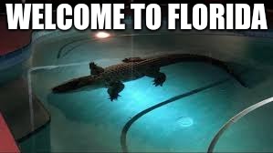 WELCOME TO FLORIDA | image tagged in florida,meanwhile in florida | made w/ Imgflip meme maker