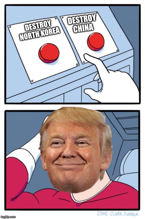 Two Buttons Meme | DESTROY CHINA; DESTROY NORTH KOREA | image tagged in memes,two buttons | made w/ Imgflip meme maker