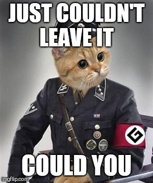 Grammar Nazi Cat | JUST COULDN'T LEAVE IT COULD YOU | image tagged in grammar nazi cat | made w/ Imgflip meme maker
