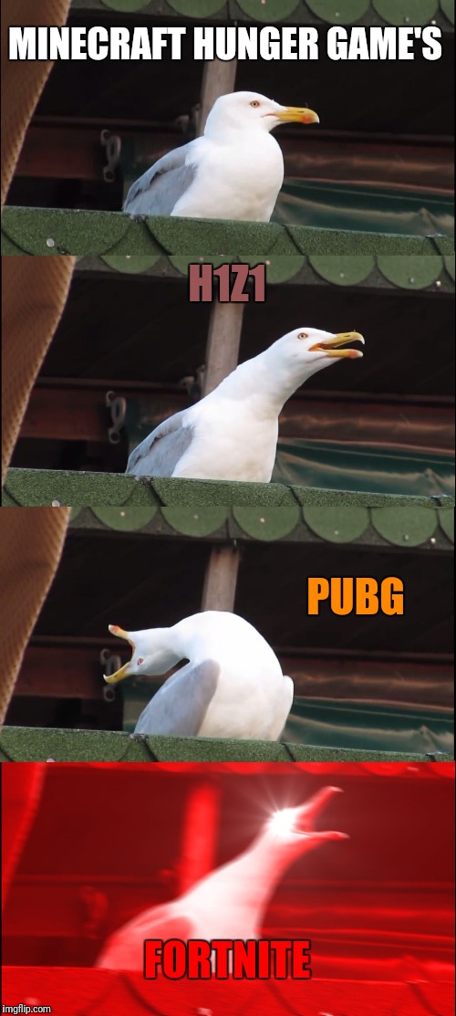 Inhaling Seagull Meme | MINECRAFT HUNGER GAME'S; H1Z1; PUBG; FORTNITE | image tagged in memes,inhaling seagull | made w/ Imgflip meme maker