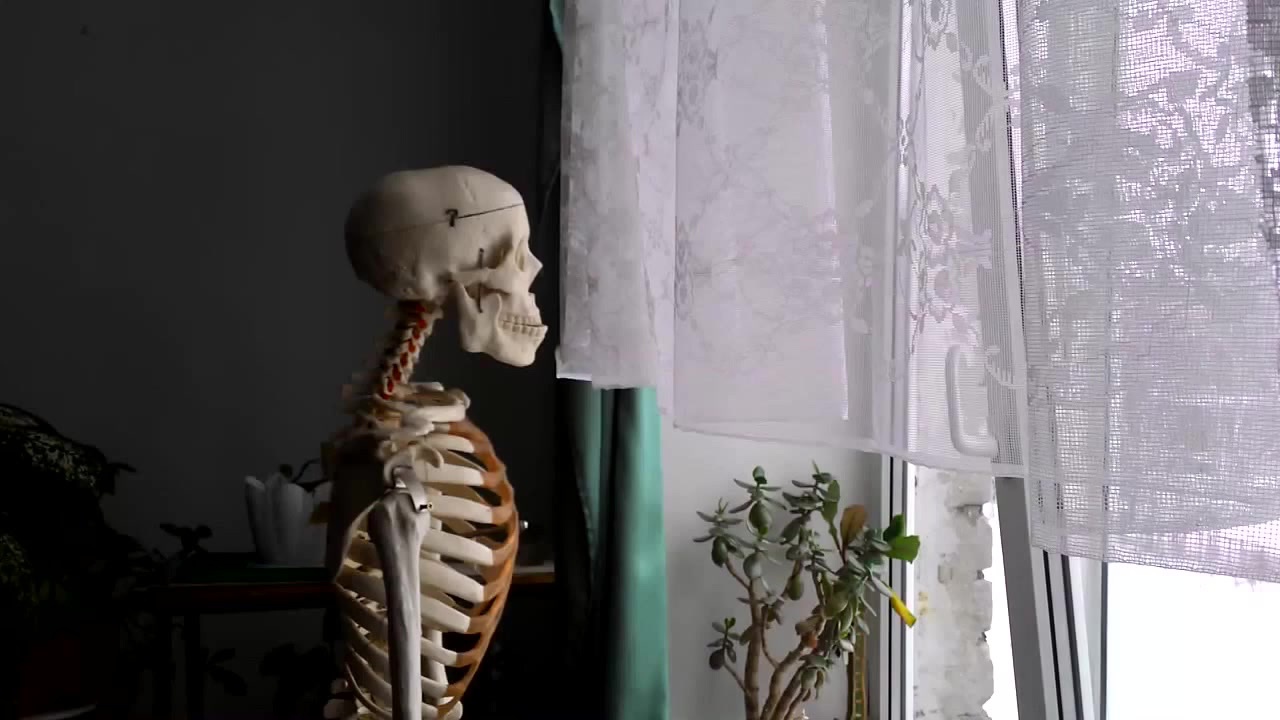 Caption this Meme. aka: Regretful Skeleton, Skeleton Looking Out Window. 