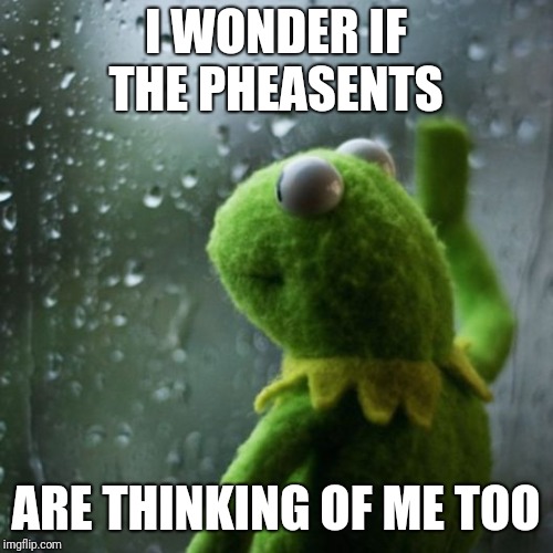 sometimes I wonder  | I WONDER IF THE PHEASENTS; ARE THINKING OF ME TOO | image tagged in sometimes i wonder | made w/ Imgflip meme maker