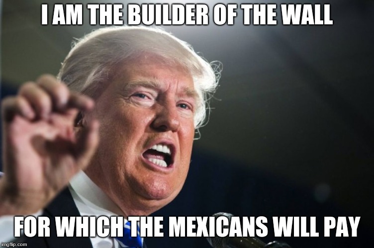 donald trump | I AM THE BUILDER OF THE WALL; FOR WHICH THE MEXICANS WILL PAY | image tagged in donald trump | made w/ Imgflip meme maker