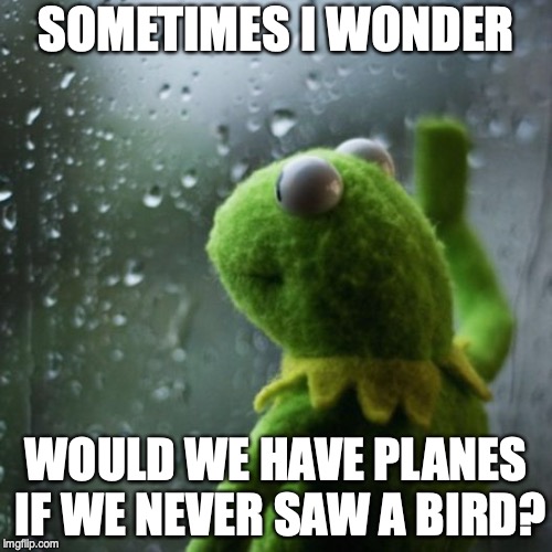sometimes I wonder  | SOMETIMES I WONDER; WOULD WE HAVE PLANES IF WE NEVER SAW A BIRD? | image tagged in sometimes i wonder | made w/ Imgflip meme maker