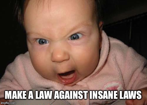 Evil Baby Meme | MAKE A LAW AGAINST INSANE LAWS | image tagged in memes,evil baby | made w/ Imgflip meme maker