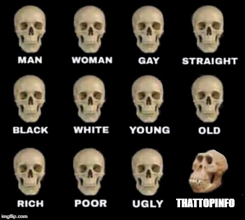idiot skull | THATTOPINFO | image tagged in idiot skull | made w/ Imgflip meme maker