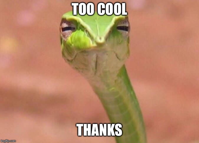 Skeptical snake | TOO COOL THANKS | image tagged in skeptical snake | made w/ Imgflip meme maker