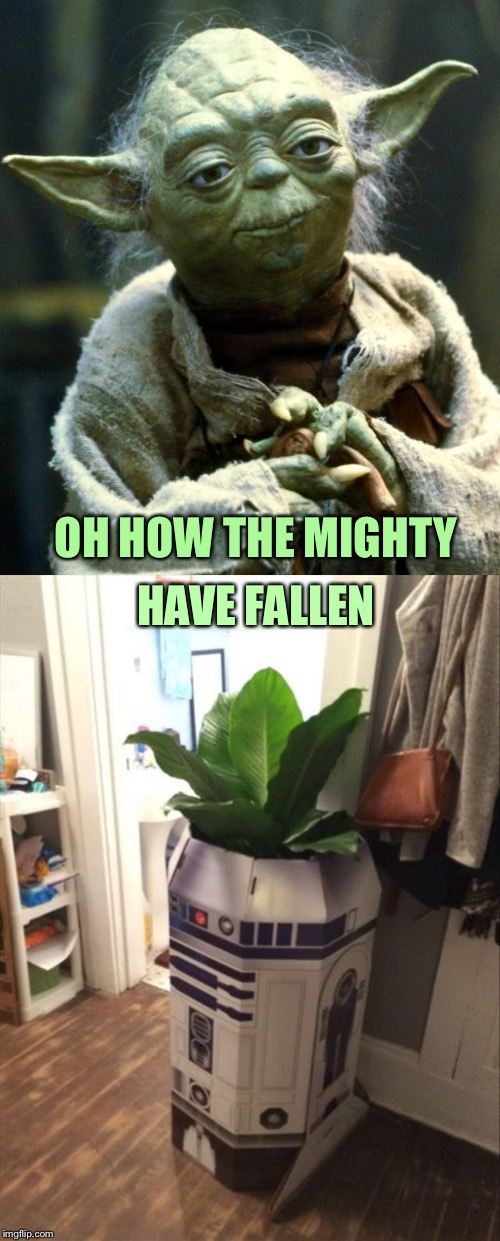 Sorry Yoda.  I needed some parts to fix my vacuum cleaner. | OH HOW THE MIGHTY; HAVE FALLEN | image tagged in yoda,r2d2,memes,funny | made w/ Imgflip meme maker