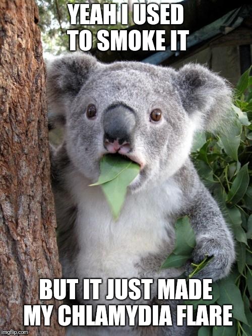 Surprised Koala Meme | YEAH I USED TO SMOKE IT; BUT IT JUST MADE MY CHLAMYDIA FLARE | image tagged in memes,surprised koala | made w/ Imgflip meme maker
