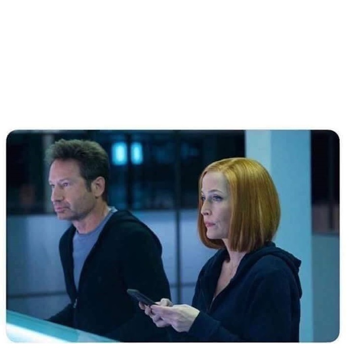 High Quality X FILES MULDER AND SCULLY BLANK Blank Meme Template