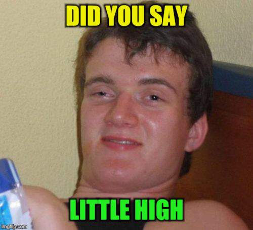 10 Guy Meme | DID YOU SAY LITTLE HIGH | image tagged in memes,10 guy | made w/ Imgflip meme maker