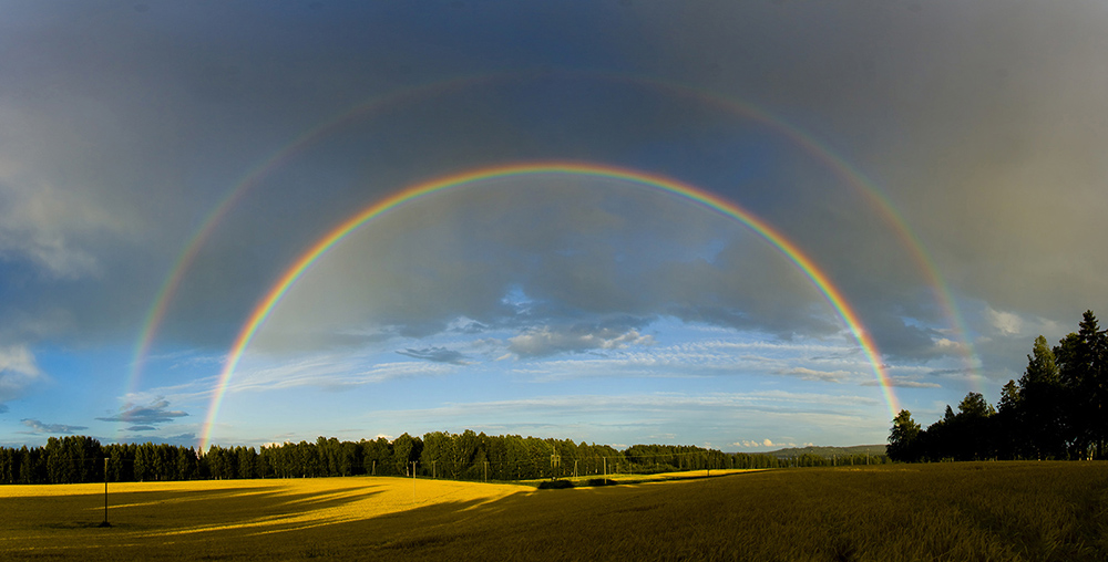 High Quality Rainbow Blank Meme Template