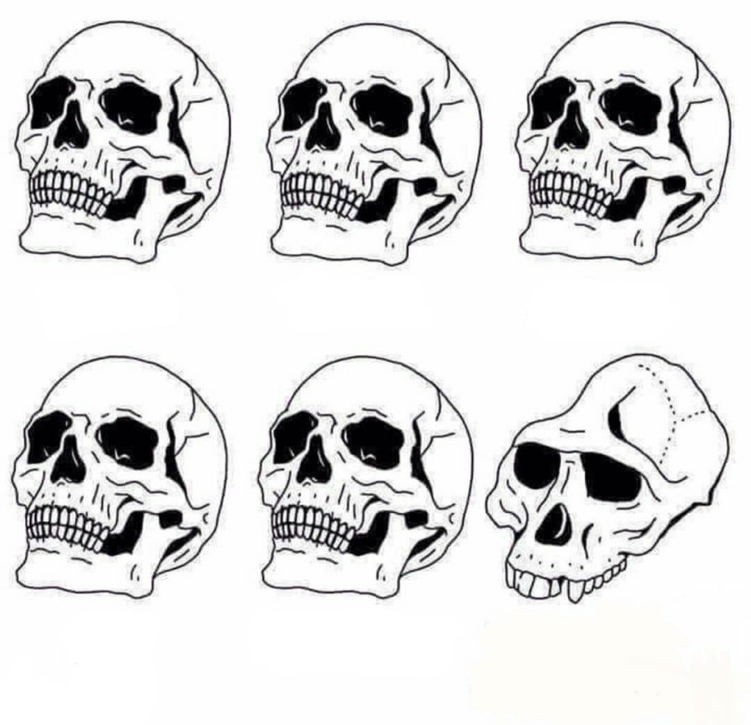 High Quality Idiot Skull Meme Blank Meme Template