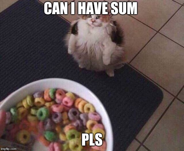 Fruit Loops | CAN I HAVE SUM; PLS | image tagged in fruit loops | made w/ Imgflip meme maker