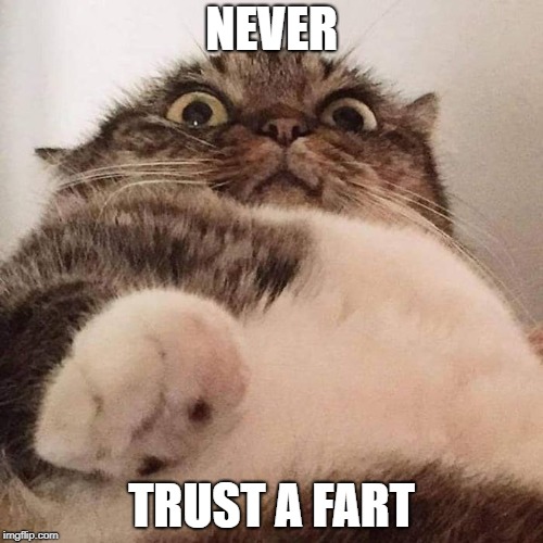 Never trust a fart. | NEVER; TRUST A FART | image tagged in funny,cat,fart | made w/ Imgflip meme maker