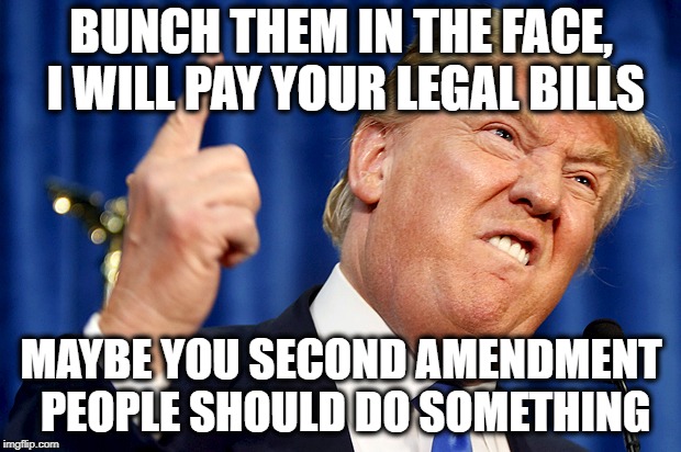 Donald Trump | BUNCH THEM IN THE FACE, I WILL PAY YOUR LEGAL BILLS MAYBE YOU SECOND AMENDMENT PEOPLE SHOULD DO SOMETHING | image tagged in donald trump | made w/ Imgflip meme maker