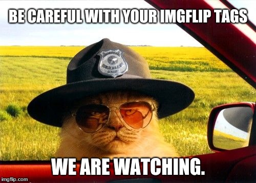 Imgflip Meme Police | BE CAREFUL WITH YOUR IMGFLIP TAGS; WE ARE WATCHING. | image tagged in busted by the hypocrite police,we are watching,meme police,funny memes | made w/ Imgflip meme maker