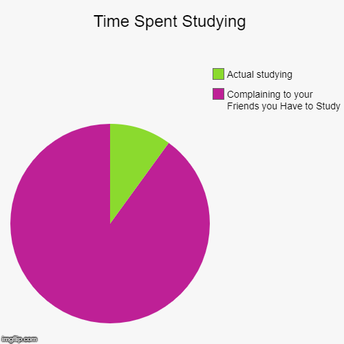 Time Spent Studying | Complaining to your Friends you Have to Study, Actual studying | image tagged in funny,pie charts | made w/ Imgflip chart maker
