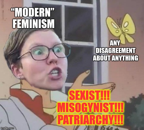 “Modern” feminism | “MODERN” FEMINISM; ANY DISAGREEMENT ABOUT ANYTHING; SEXIST!!! MISOGYNIST!!! PATRIARCHY!!! | image tagged in feminism,sexist,disagreement,patriarchy | made w/ Imgflip meme maker