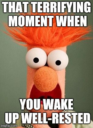 BEAKER | THAT TERRIFYING MOMENT WHEN YOU WAKE UP WELL-RESTED | image tagged in beaker | made w/ Imgflip meme maker