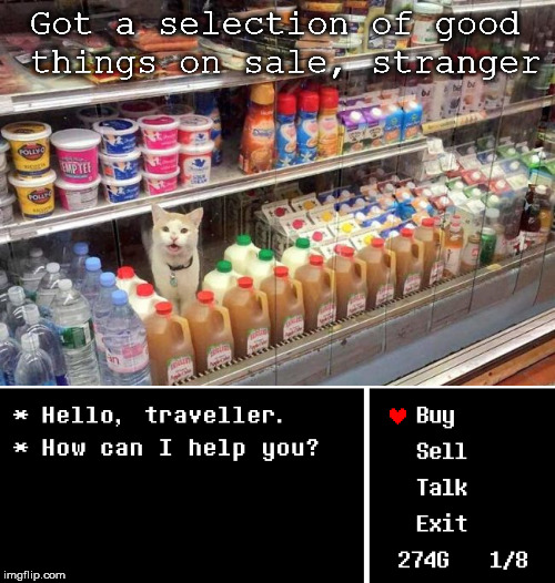 Welcome, weary traveller, which elixirs do you seek? | Got a selection of good things on sale, stranger | image tagged in cat memes,games,shops | made w/ Imgflip meme maker