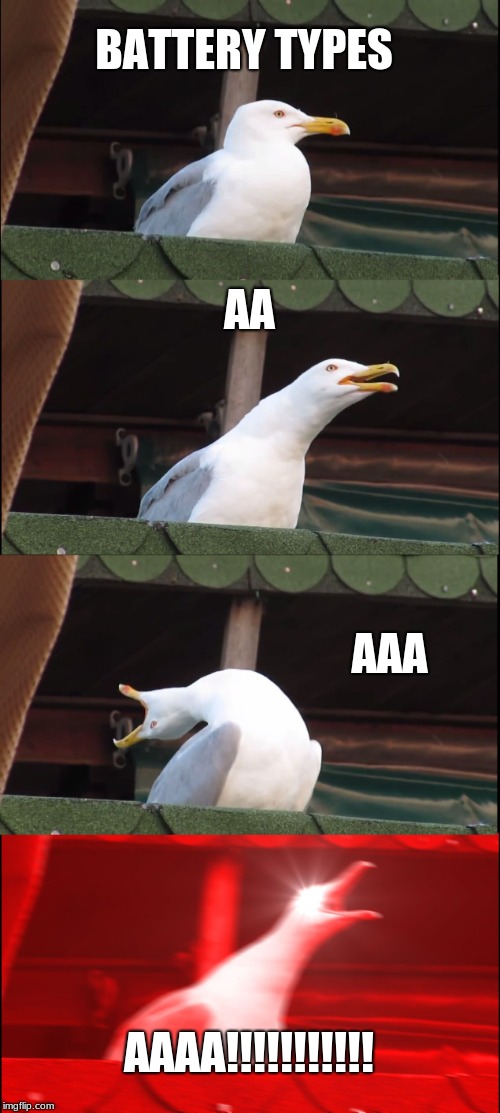 Inhaling Seagull | BATTERY TYPES; AA; AAA; AAAA!!!!!!!!!!! | image tagged in memes,inhaling seagull | made w/ Imgflip meme maker