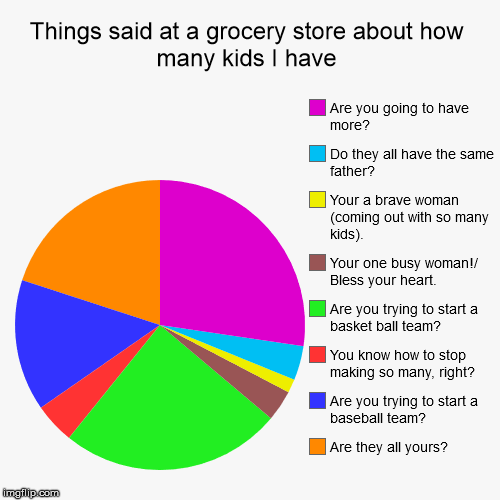 Things said at a grocery store about how many kids I have | Are they all yours?, Are you trying to start a baseball team?, You know how to s | image tagged in funny,pie charts | made w/ Imgflip chart maker