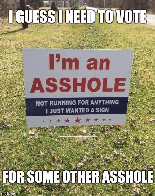 Get out and vote, even if it's an asshole | I GUESS I NEED TO VOTE; FOR SOME OTHER ASSHOLE | image tagged in asshole,sign,vote,pipe_picasso | made w/ Imgflip meme maker