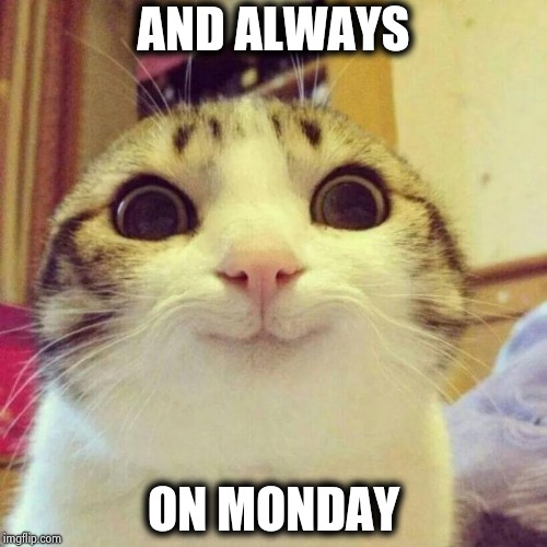 Smiling Cat Meme | AND ALWAYS ON MONDAY | image tagged in memes,smiling cat | made w/ Imgflip meme maker
