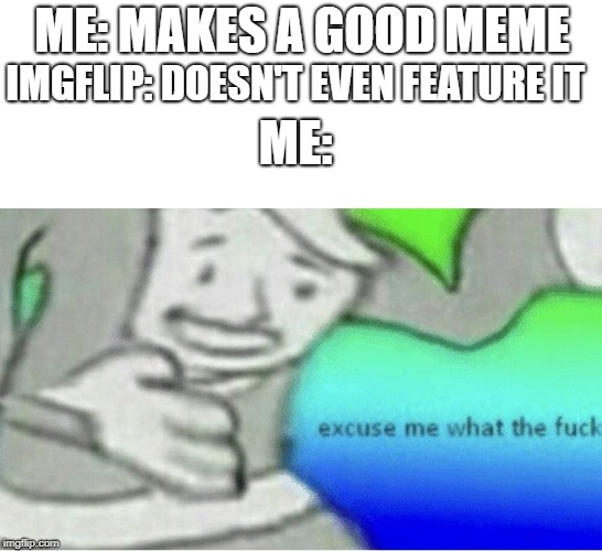Excuse me wtf blank template | ME: MAKES A GOOD MEME; IMGFLIP: DOESN'T EVEN FEATURE IT; ME: | image tagged in excuse me wtf blank template | made w/ Imgflip meme maker