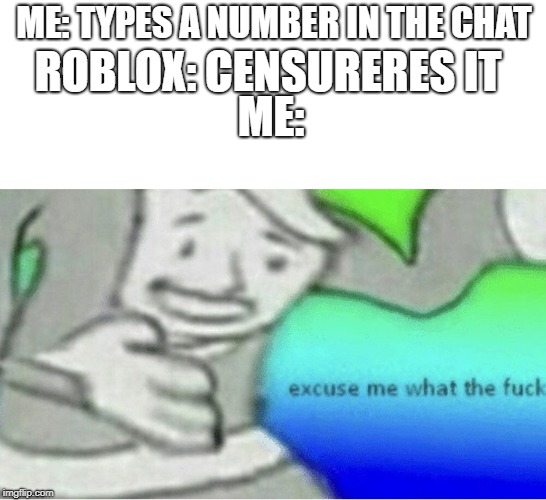 Excuse me wtf blank template | ME: TYPES A NUMBER IN THE CHAT; ROBLOX: CENSURERES IT; ME: | image tagged in excuse me wtf blank template | made w/ Imgflip meme maker