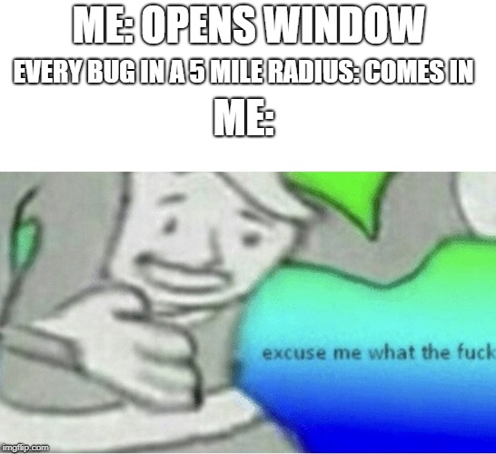 Excuse me wtf blank template | ME: OPENS WINDOW; EVERY BUG IN A 5 MILE RADIUS: COMES IN; ME: | image tagged in excuse me wtf blank template | made w/ Imgflip meme maker