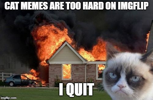 Burn Kitty Meme | CAT MEMES ARE TOO HARD ON IMGFLIP; I QUIT | image tagged in memes,burn kitty,grumpy cat | made w/ Imgflip meme maker