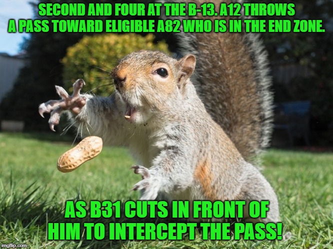 going for it!!! | SECOND AND FOUR AT THE B-13. A12 THROWS A PASS TOWARD ELIGIBLE A82 WHO IS IN THE END ZONE. AS B31 CUTS IN FRONT OF HIM TO INTERCEPT THE PASS! | image tagged in squirrel,catch | made w/ Imgflip meme maker