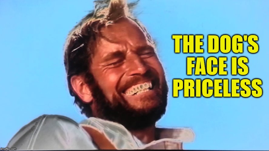 Charlton Heston Planet of the Apes Laugh | THE DOG'S FACE IS PRICELESS | image tagged in charlton heston planet of the apes laugh | made w/ Imgflip meme maker