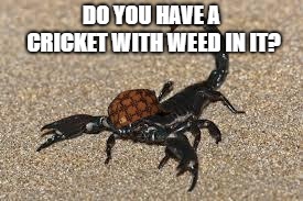 Scumbag Scorpion | DO YOU HAVE A CRICKET WITH WEED IN IT? | image tagged in scumbag scorpion | made w/ Imgflip meme maker