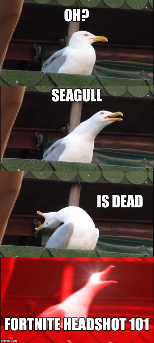 Inhaling Seagull | OH? SEAGULL; IS DEAD; FORTNITE HEADSHOT 101 | image tagged in memes,inhaling seagull | made w/ Imgflip meme maker
