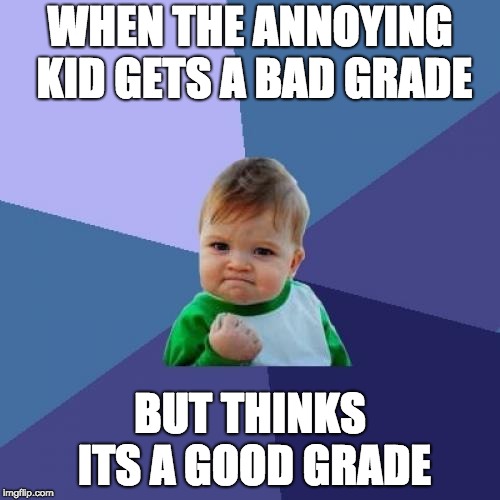 Success Kid Meme | WHEN THE ANNOYING KID GETS A BAD GRADE; BUT THINKS ITS A GOOD GRADE | image tagged in memes,success kid | made w/ Imgflip meme maker