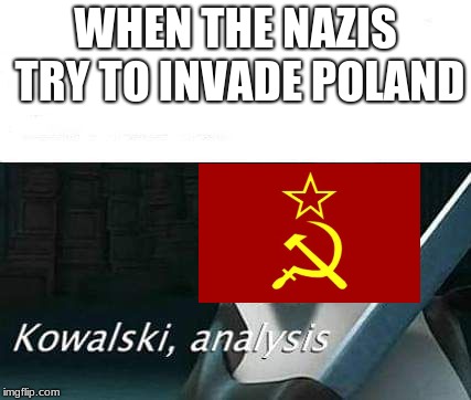 kowalski, analysis | WHEN THE NAZIS TRY TO INVADE POLAND | image tagged in kowalski analysis | made w/ Imgflip meme maker