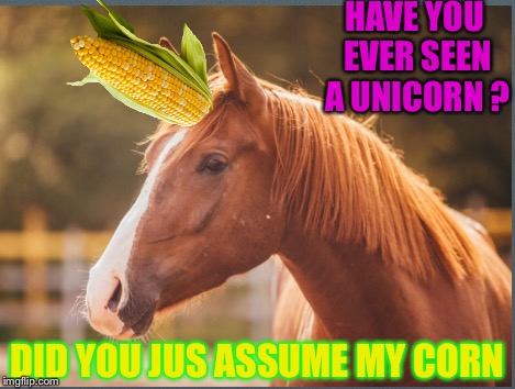 HAVE YOU EVER SEEN A UNICORN ? DID YOU JUS ASSUME MY CORN | made w/ Imgflip meme maker