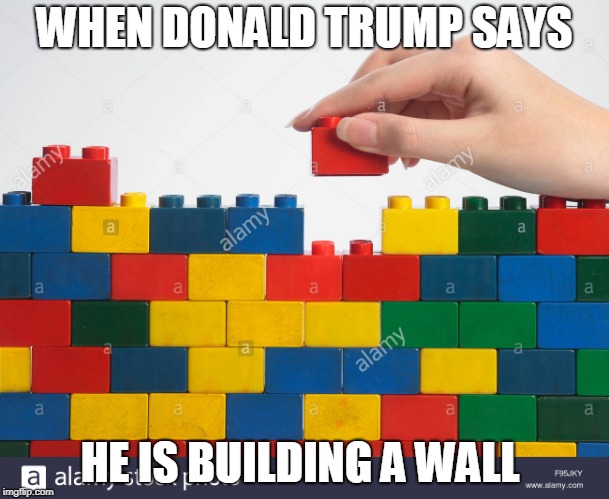 WHEN DONALD TRUMP SAYS; HE IS BUILDING A WALL | image tagged in politics | made w/ Imgflip meme maker