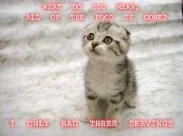 Sad Cat Meme | WHAT DO YOU MEAN, ALL OF THE FOOD IS GONE? I ONLY HAD THREE SERVINGS | image tagged in memes,sad cat | made w/ Imgflip meme maker