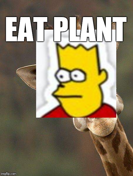 Giraffe  | EAT PLANT | image tagged in giraffe | made w/ Imgflip meme maker